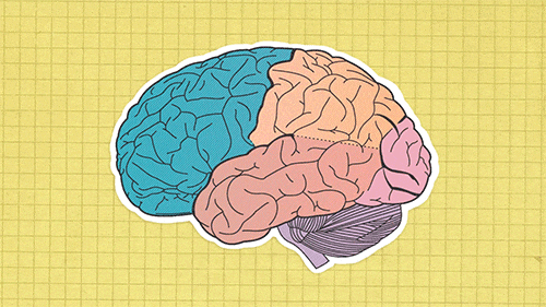 How Stress Affects Your Hormones: The Science Behind the Mind-Body Connection